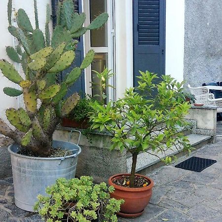 All'Ombra Dei Tassi Mandello del Lario Eksteriør billede